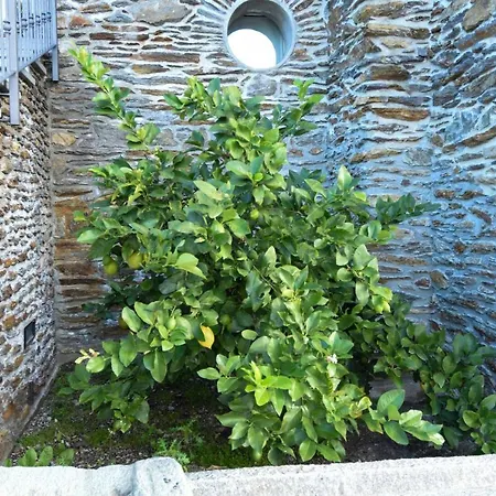 Agriturismo Il Colle-2