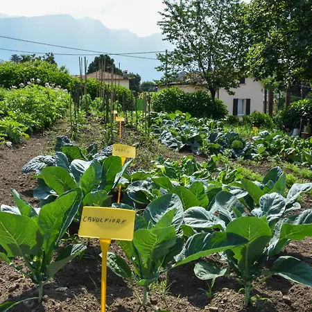 Agriturismo Il Colle-2
